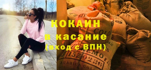 шишки Вяземский