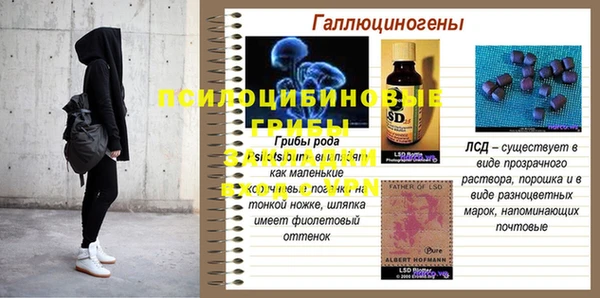 дмт Вязьма