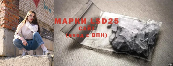 шишки Вяземский