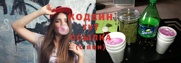 шишки Вяземский