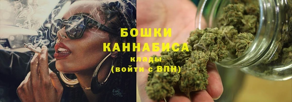 шишки Вяземский